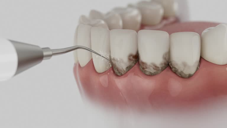 Reliable Dental contractor in Bluffton, SC by Dentist Open Now